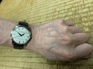 GRAND SEIKO HISTORICAL COLLECTION SBGW033 SEIKO創業130周年記念モデル Limited Edition